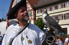 Gerfalke Elli machte großen Eindruck. Er und sein Falkner ließen auch Selfies zu.