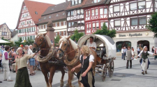 Kaufmannszug 2019 auf seinem Weg zum Schlossplatz